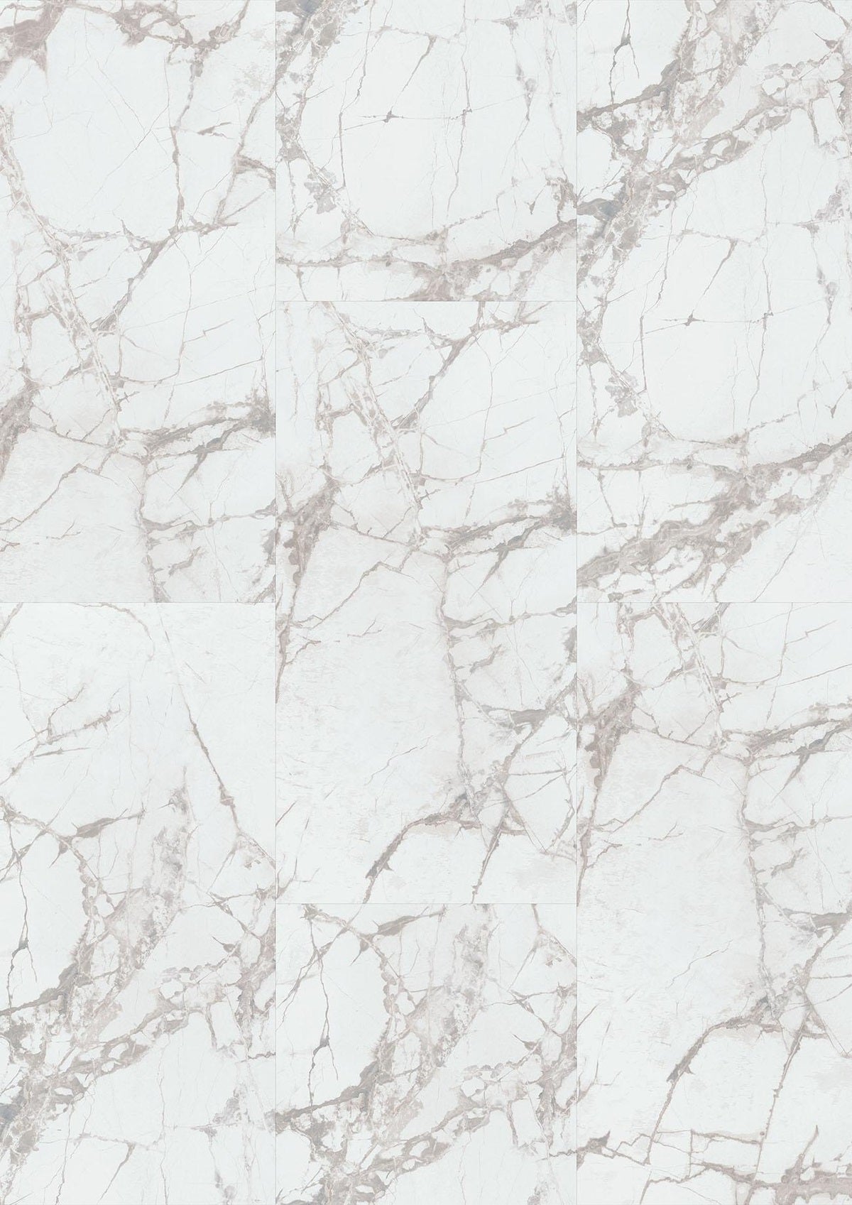 Cascade Odyssey Ultra EVP 12"