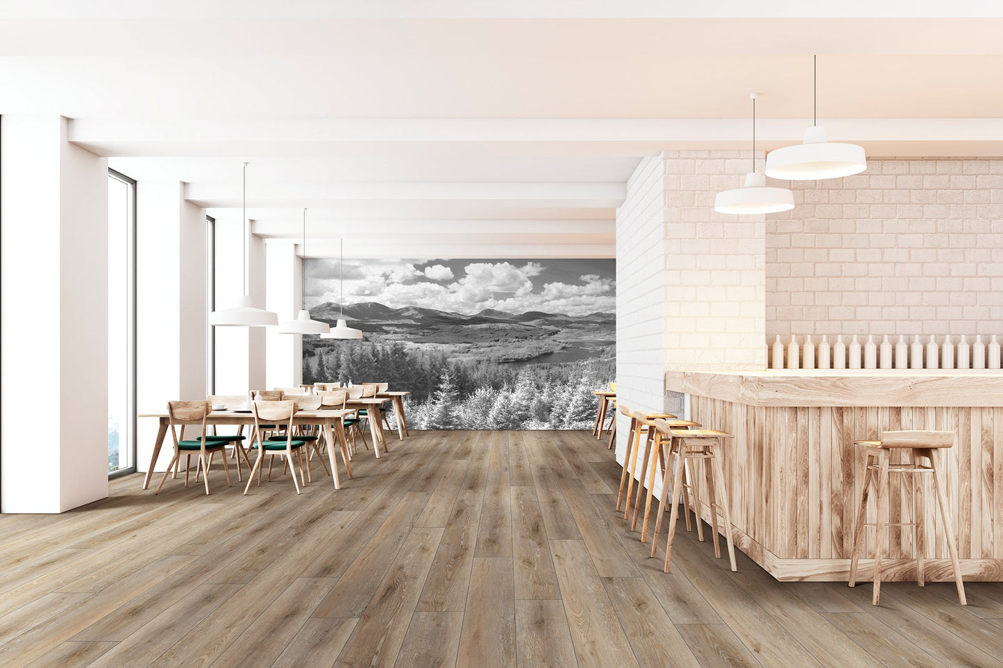 Coretec Pro Enhanced 9" VV491 Vinyl Planks